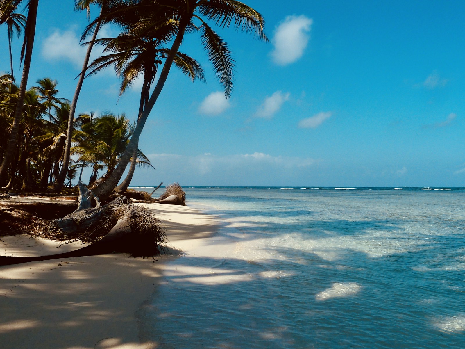 Palm-lined beach in the San Blas islands